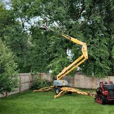 Best Tree Trimming and Pruning  in Johnsonville, SC