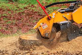  Johnsonville, SC Tree Care Pros